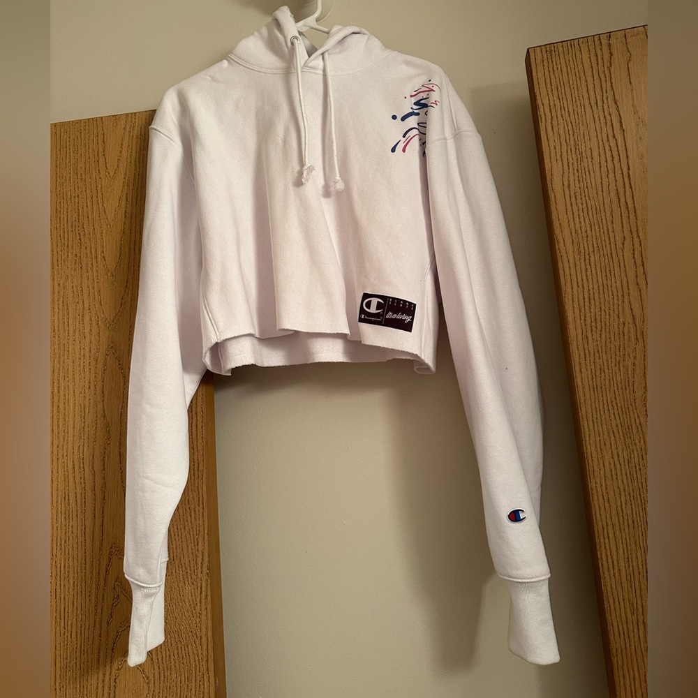 Champion Hooded Sweatshirt NWOT Sesame Street BLANK SLATE